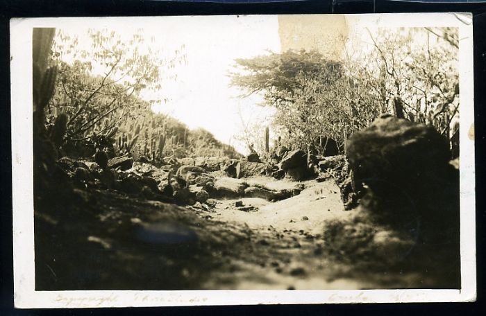 NETHERLANDS ANTILLES CURACAO ARUBA WW2 1942 REAL PHOTO  