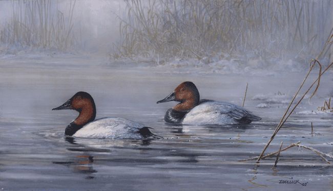 Scott Zoellick SPRING THAW S/N Duck Hunting Print  