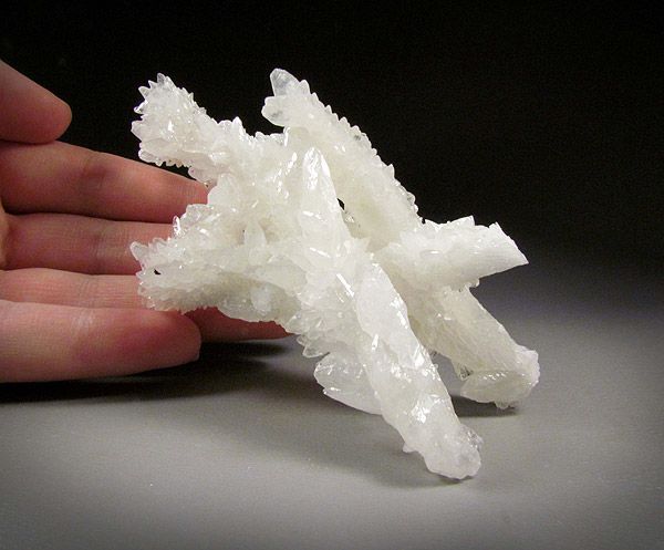 White Calcite Flos Ferri, Santa Eulalia, Mexico  