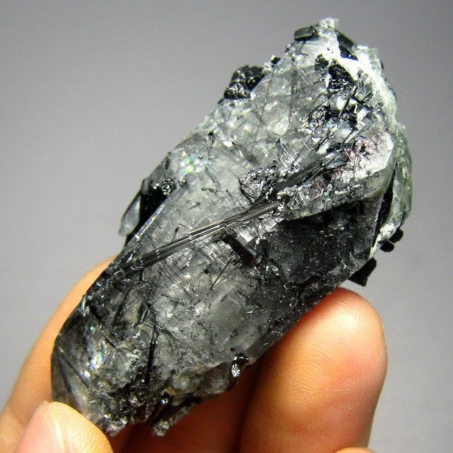 Schorl Black Tourmaline Crystal w/ Quartz tmgx9ic3368  