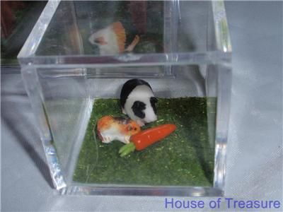   GIFT **HAPPY MEMORIES BOX* DOLLHOUSE ** GUINEA PIG PETS **  