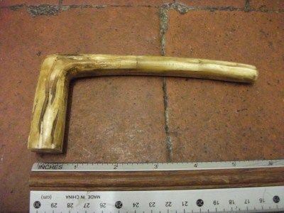 Bone Walking Stick / Crop Handle   Antler Design  