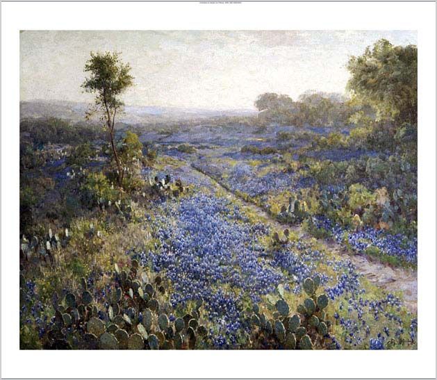 JULIAN ONDERDONK Texas Bluebonnets & Cacti PRINT New  