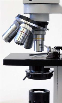 NEW TEACHING TRAINING COMPOUND MICROSCOPE 40X 2000X 013964560602 