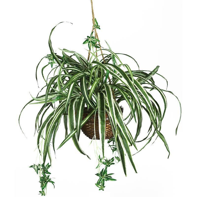 SILK SPIDER HANGING BASKET ARTIFICIAL PLANT NEW  