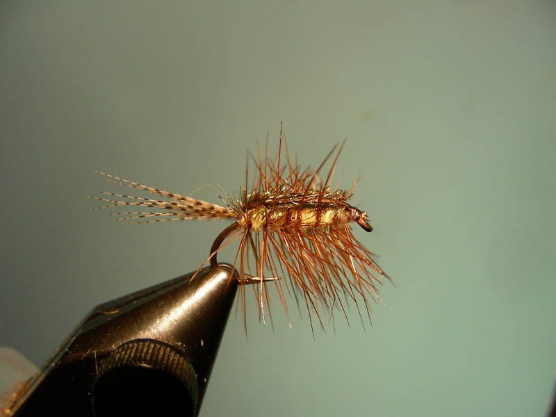 CRACKLEBACK Theflytiers Guide Fly Trout Dry deadly  