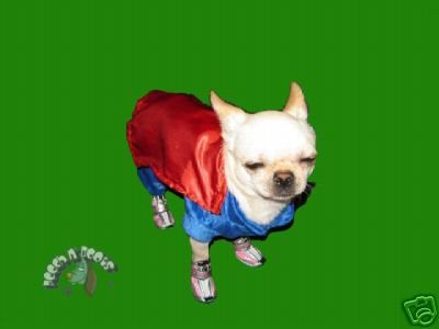 Superman Super Dog costume MUST HAVE Size L/XL  