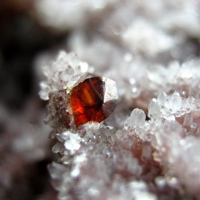 892LB Sphalerite Crystals on Quartz srh15ie1664  