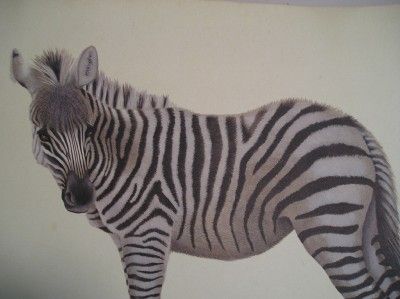 FARNSWORTH PRINTYOUNG ZEBRA~HERITAGE GALLERY~KY.  