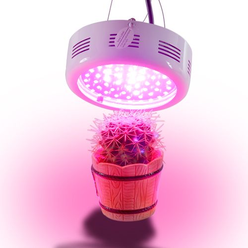 LED Grow Light   Hendrix Edition (NASA Red and Blue) 50W LED grow 