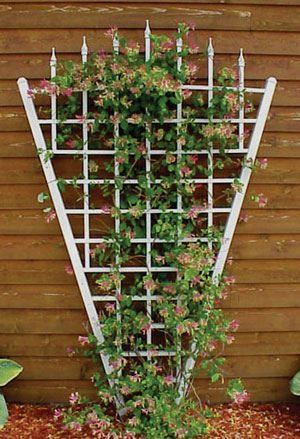 DURA TREL ESTATE TRELLIS 58 x 94 20 YEAR WARRANTY  