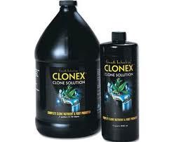CLONEX   CLONE SOLUTION   QUART   CLONING CUTTINGS  