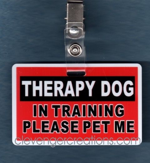 THERAPY DOG IN TRAINING PLEASEservice dog vest clip  